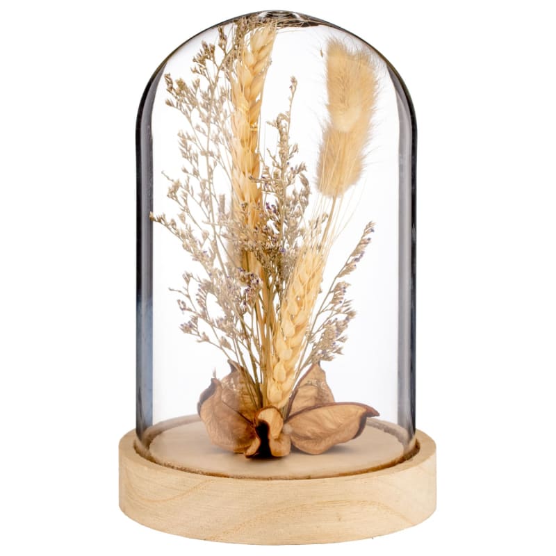 Dried Flowers in Cloche Natural Decorative Accessories B&M