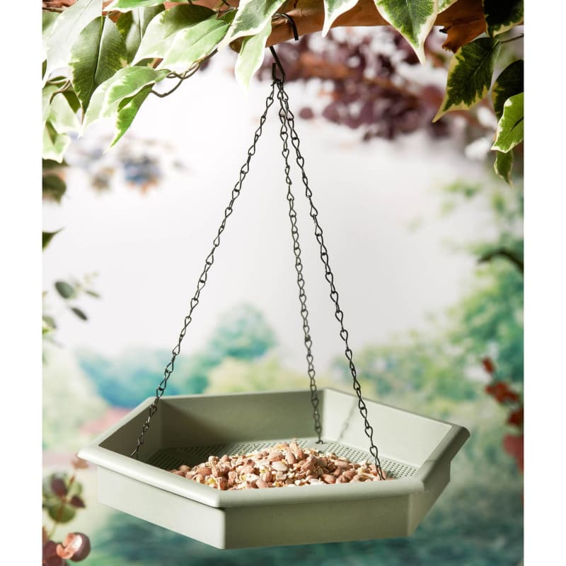 2in1 Bird Bath & Feeder Green Pets Birds B&M