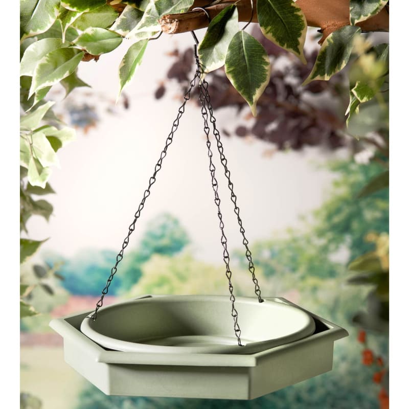 2in1 Bird Bath & Feeder Green Pets Birds B&M