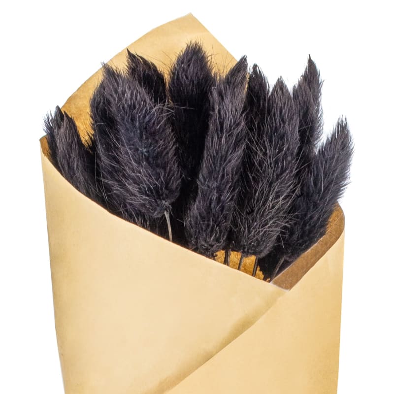 Dried Black Bunny Tail Bunch Home Accessories B&M Stores