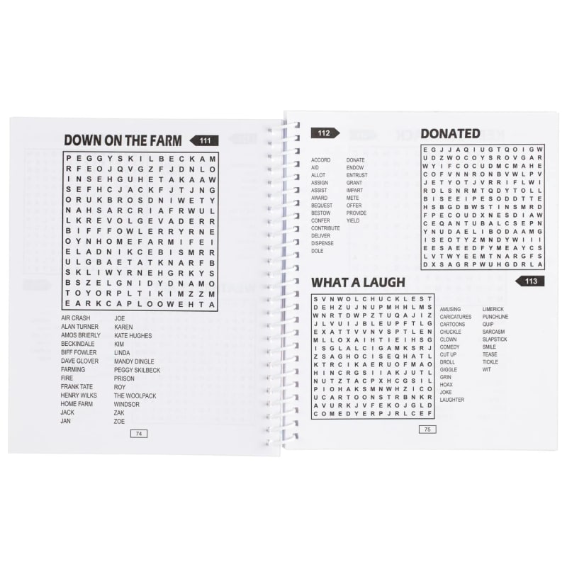 Large Print Puzzle Book - Word Search | Books - B&M