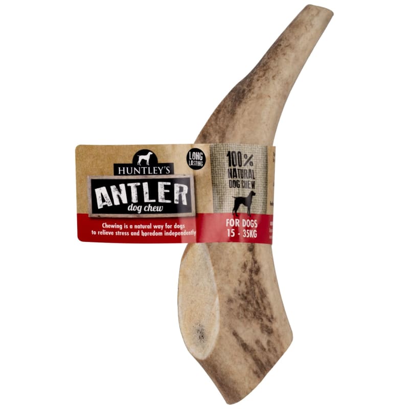 Are Antlers Safe For Dogs Uk