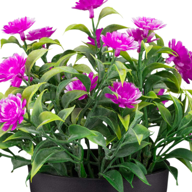 Daisies In Pot Purple Decorative Accessories B&M Stores