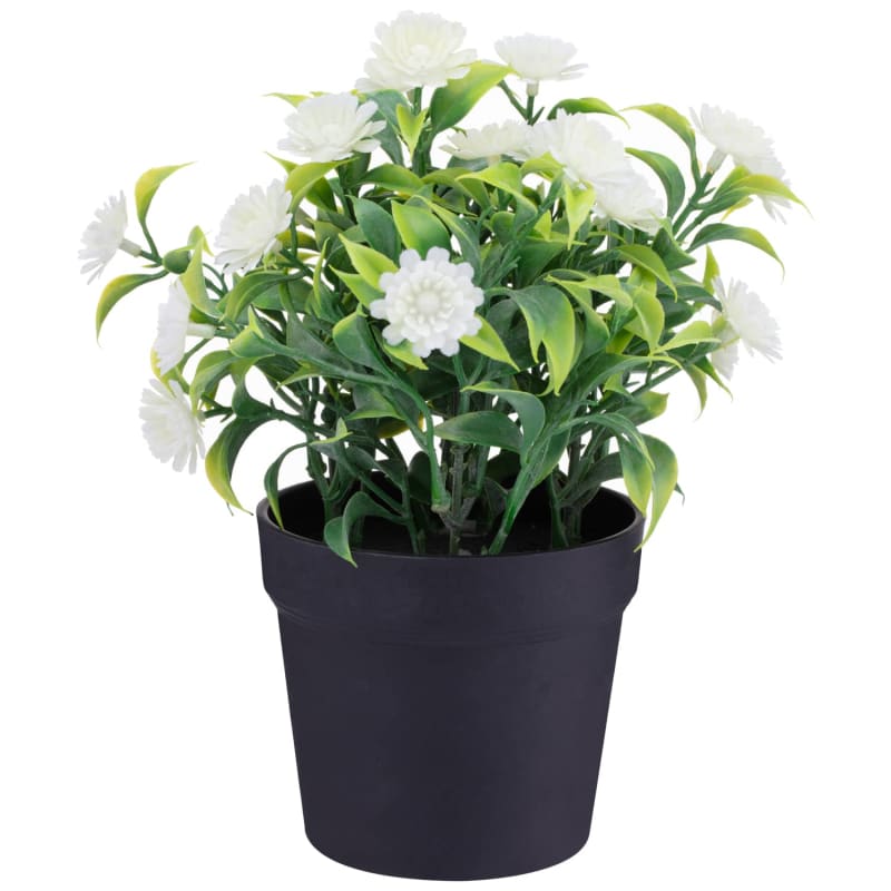Daisies In Pot White Decorative Accessories B&M Stores