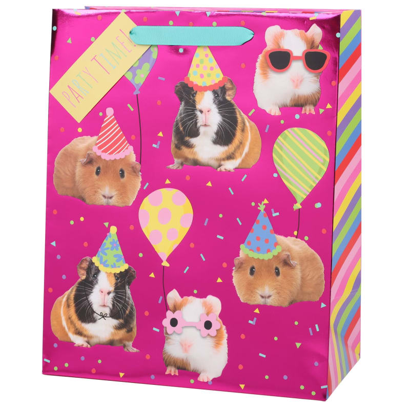Animal Party Gift Bag Guinea Pig Gift Bags B&M Stores