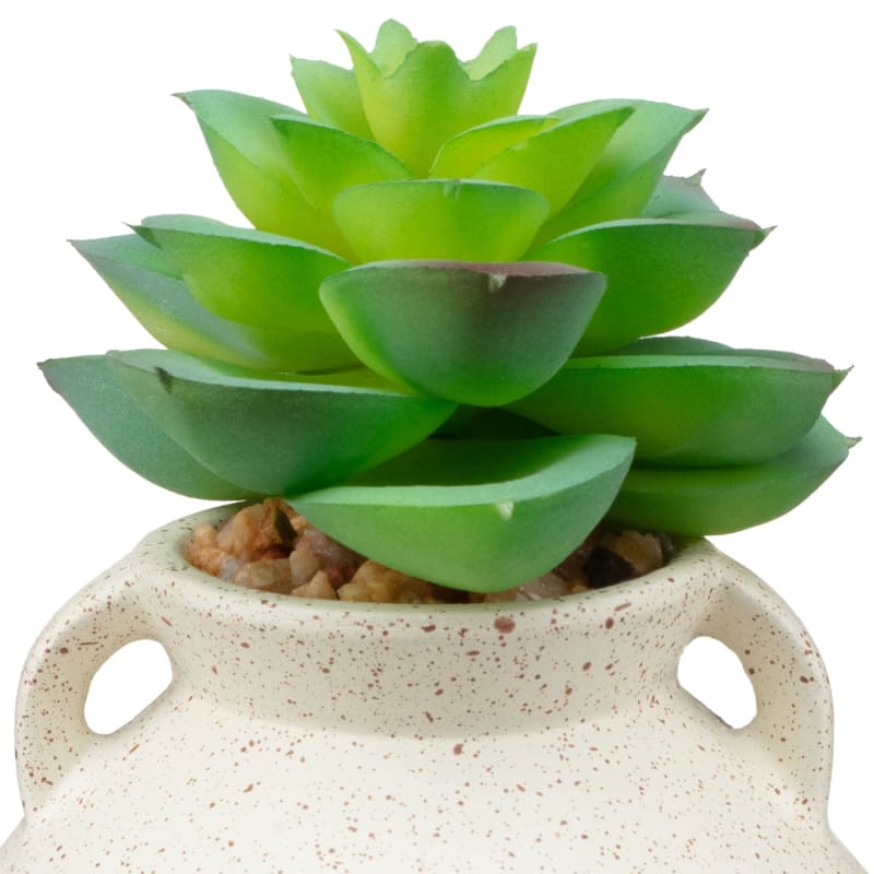 Small Succulent Vase Cream Decorative Accessories B&M Stores
