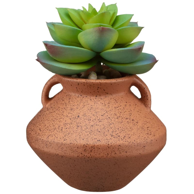Small Succulent Vase Orange Decorative Accessories B&M Stores