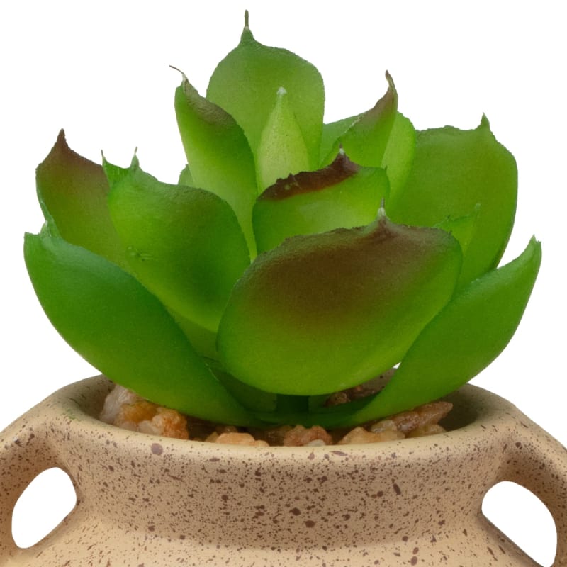 Small Succulent Vase Stone Decorative Accessories B&M Stores