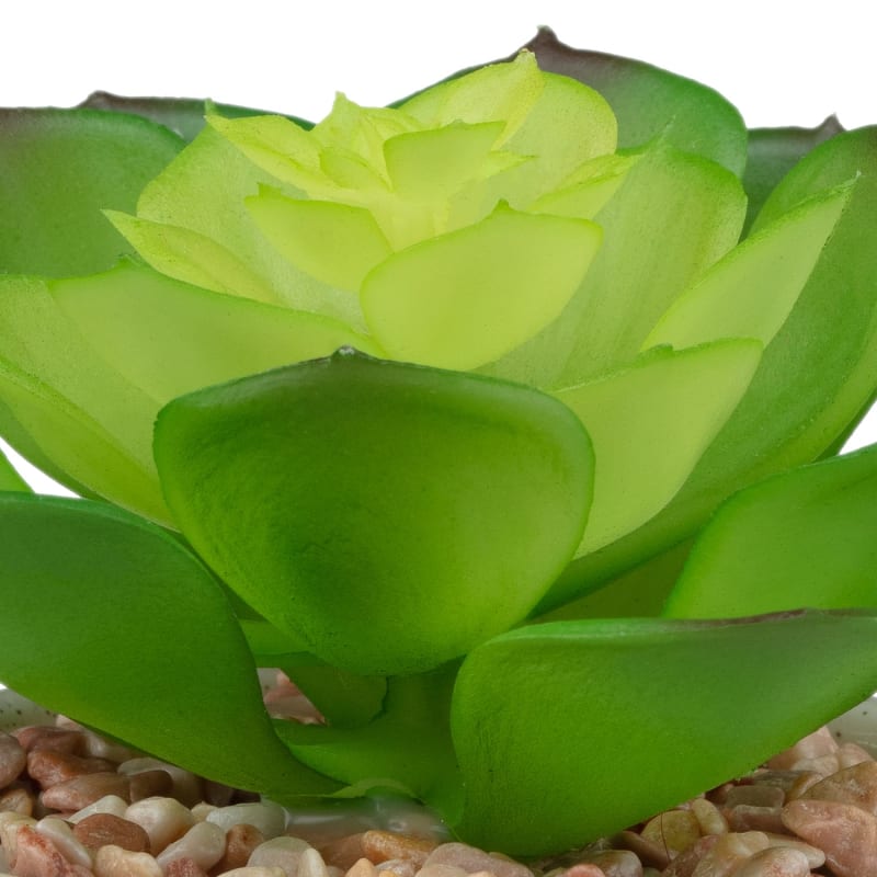 Artificial Plants B&M Bargains at Louise Fields blog