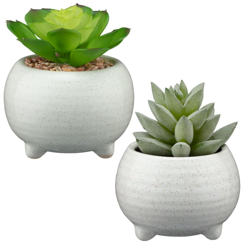 Footed Succulent Artificial Plants B&M Stores