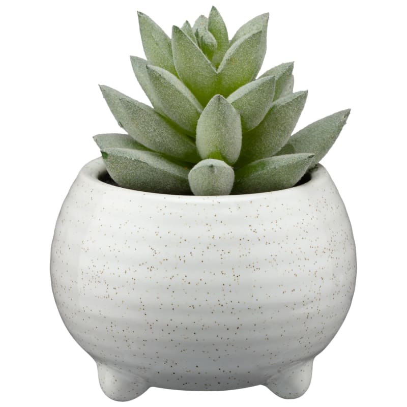 Footed Succulent Artificial Plants B&M Stores