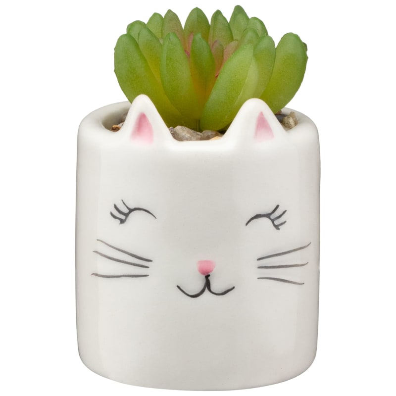 Mini Succulent Cat Garden Decorative Accessories B&M Stores