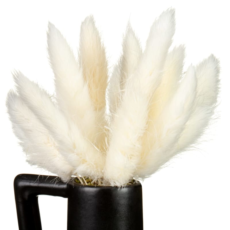 Bunny Tails in Black Handled Vase Vases & Artificial Flowers B&M
