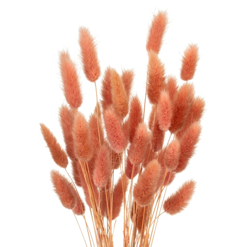 Ribbed Vase with Bunny Tails Vases & Artificial Flowers B&M