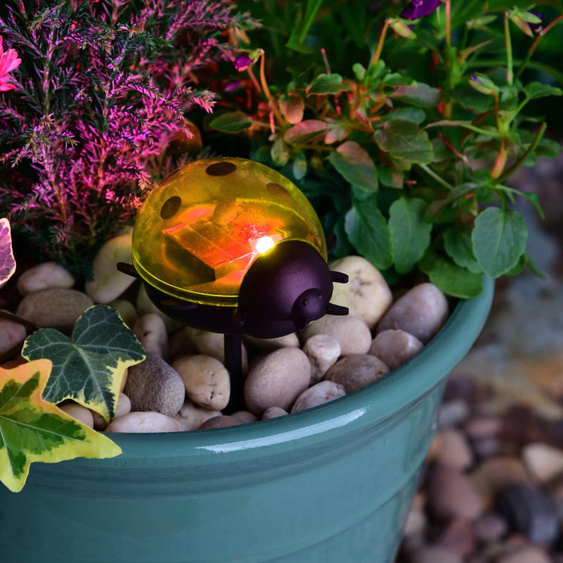 Warm Color Insect Rectangular Light Solar Living Insect Stake Light - Yellow Ladybird | Garden Lighting | B&M