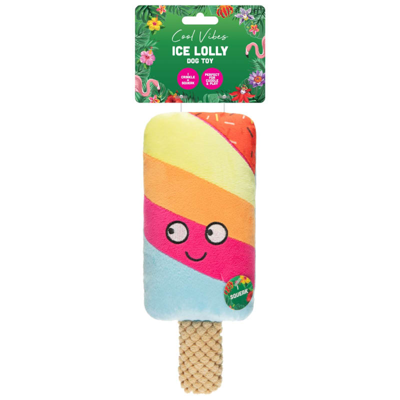 Cool Vibes Ice Lolly Dog Toy Stripe Dog Toys B&M