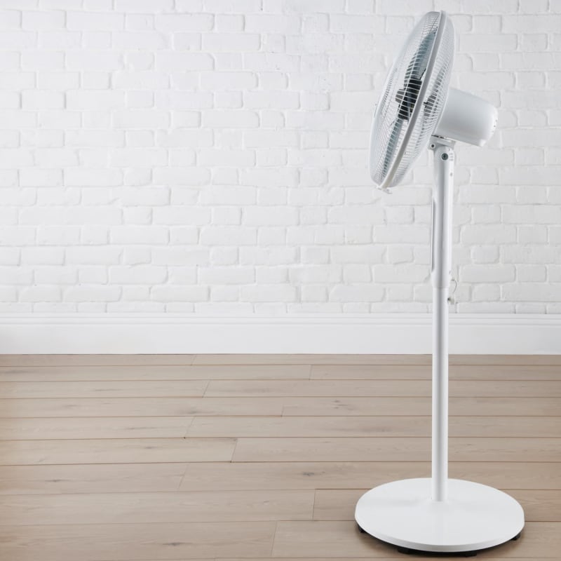 Blaupunkt 16" Digital Pedestal Fan Fans B&M Stores