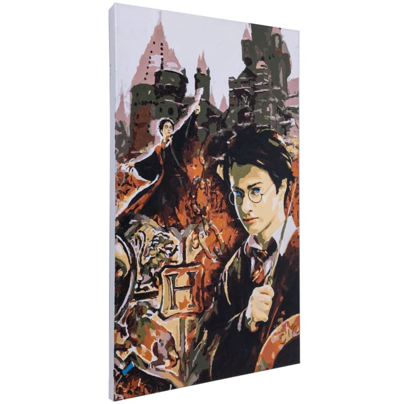 Harry Potter Paint By Numbers Arts & Crafts B&M