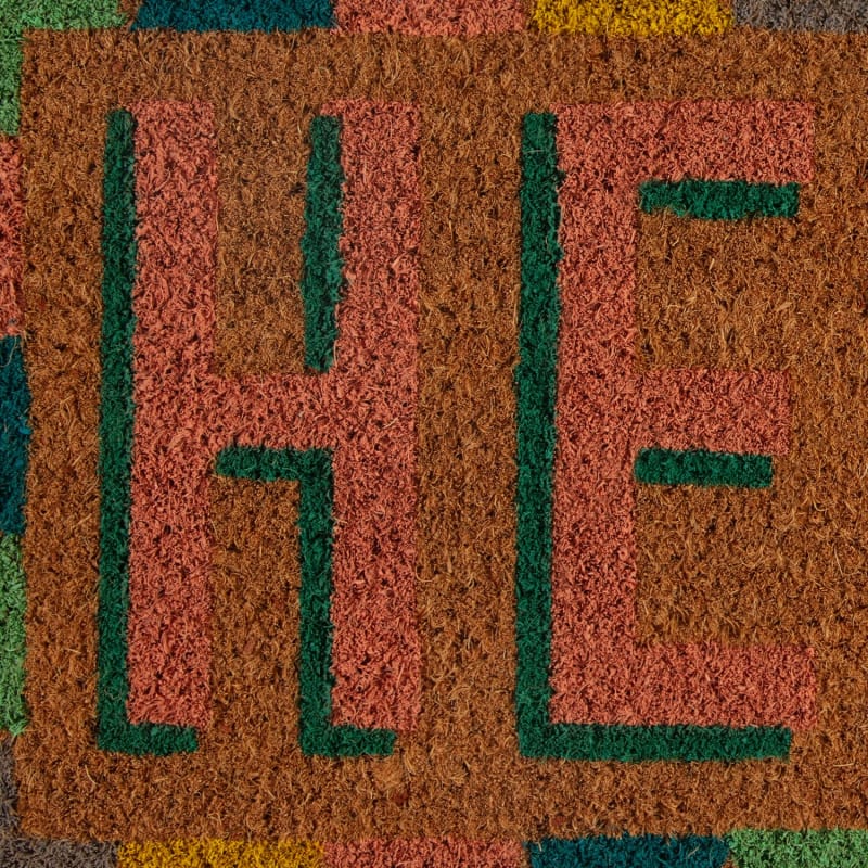 Printed Coir Step Mat Spots Doormats B&M