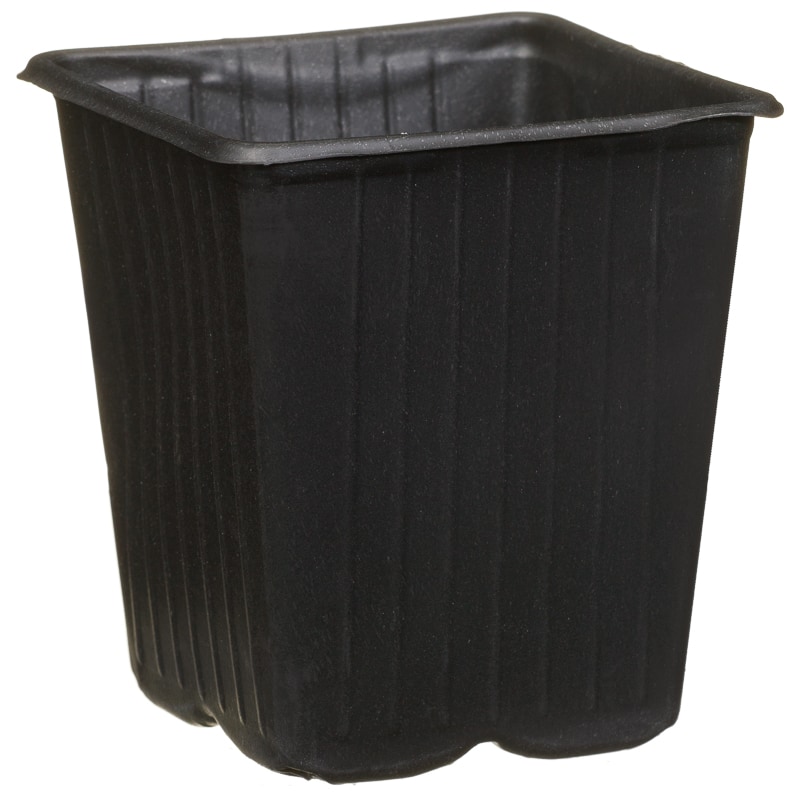 Black Plant Pots 12pk Garden Planters & Pots B&M