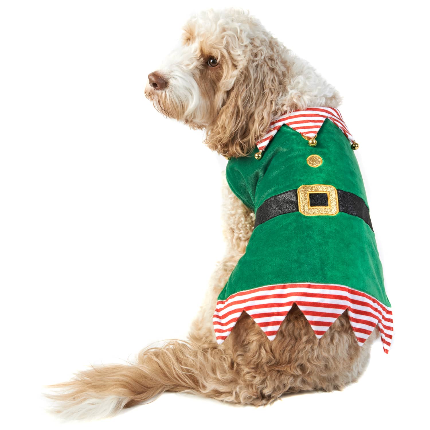 Elf Christmas Dog Costume MXL Pets Dog Jumpers B&M