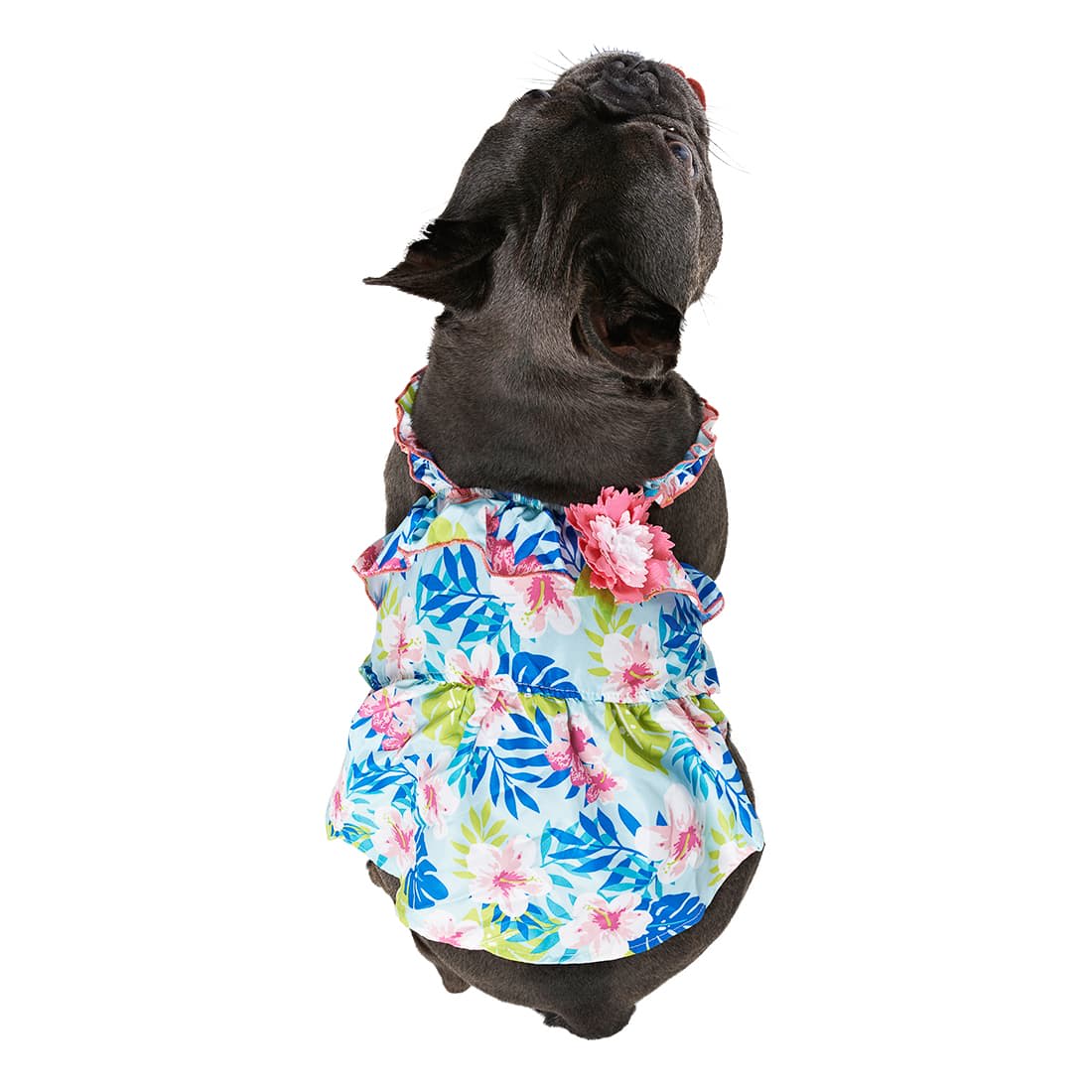 Offer BMStores Summer Dog Outfit Large Summer Dress