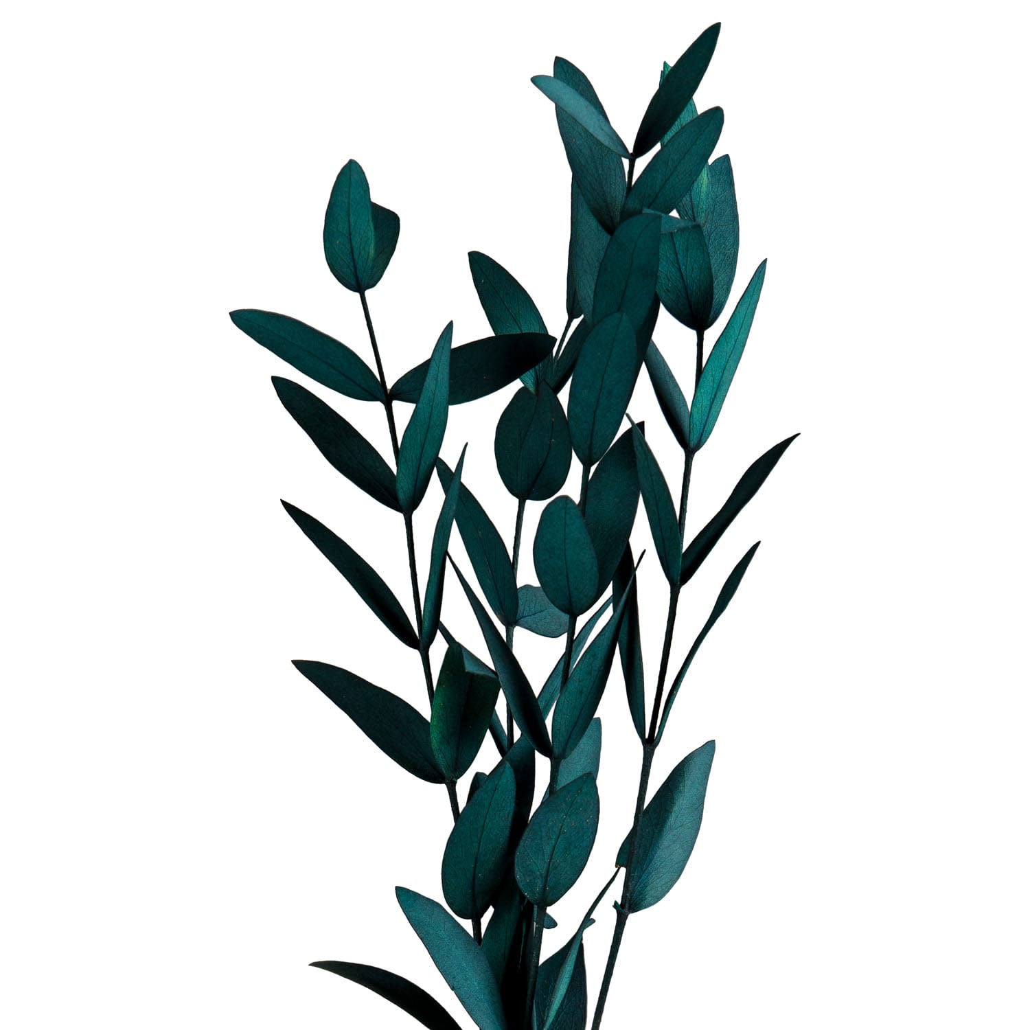 Plant in Glass & Wooden Vase Decorative Accessories B&M Stores