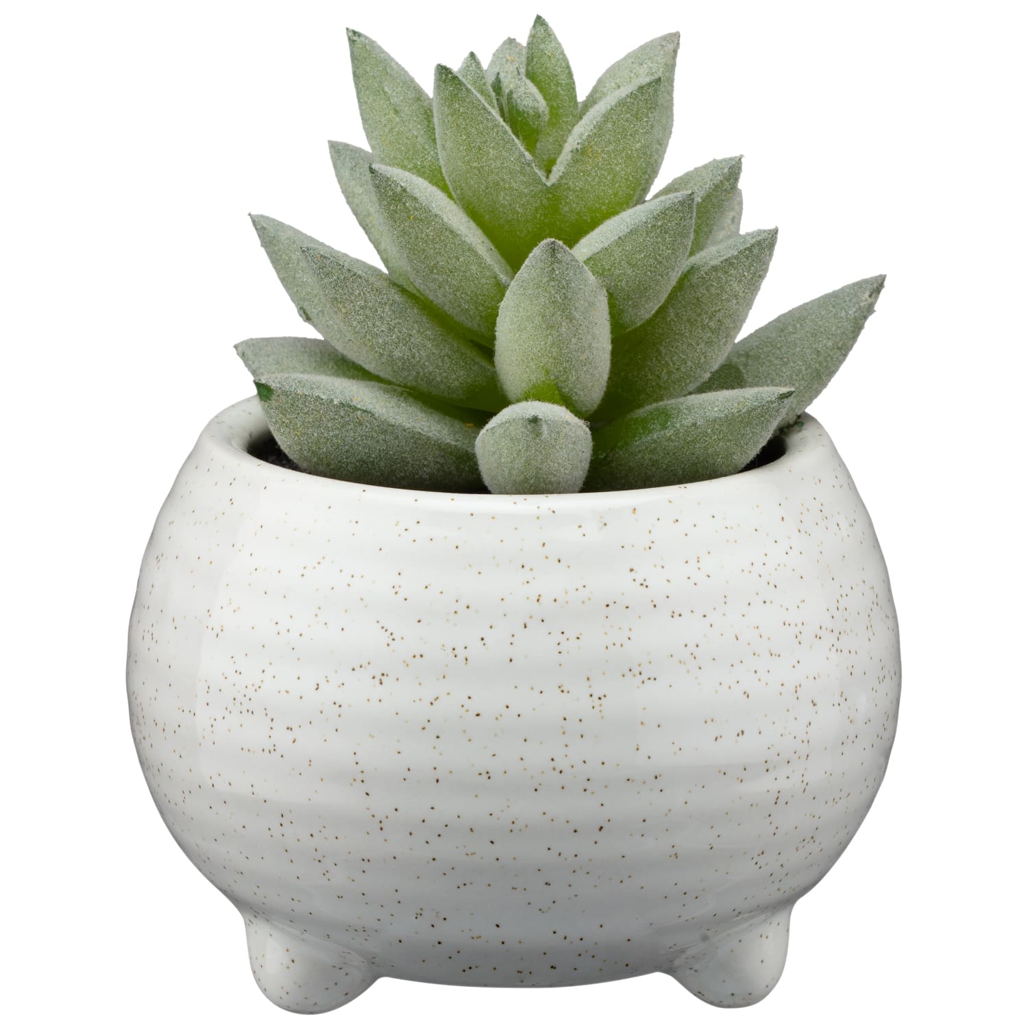 Footed Succulent Artificial Plants B&M Stores