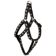 retractable dog lead b&m