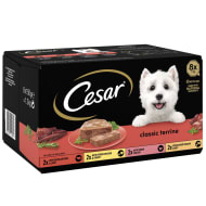 Cesar Classics Terrine Dog Food Trays Mixed in Loaf 