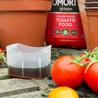 167267-levington-tomorite-liquid-tomato-fertiliser-1l-3