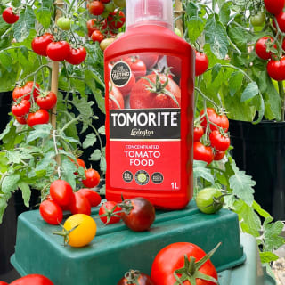 167267-levington-tomorite-liquid-tomato-fertiliser-1l