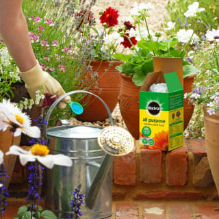 175130-miracle-gro-all-purpose-plant-food-1kg-2