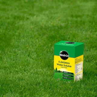 175132-miracle-gro-evergreen-water-soluble-lawn-food-1kg-2