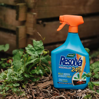 235638-westland-resolva-24hr-weedkiller-4