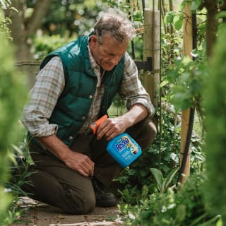 235638-westland-resolva-24hr-weedkiller-5