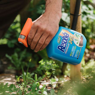 235638-westland-resolva-24hr-weedkiller