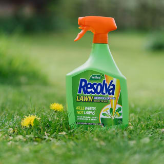 245203-westland-resolva-lawn-weedkiller-1l-2