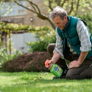 245203-westland-resolva-lawn-weedkiller-1l-3