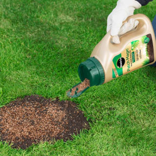 245940-miracle-gro-patch-magic-grass-seed-feed-and-coir-1_1kg