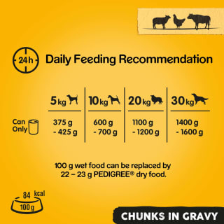 246218-pedigree-gravy-6x400g-3