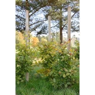 265771-landscape-pole-75x80mm