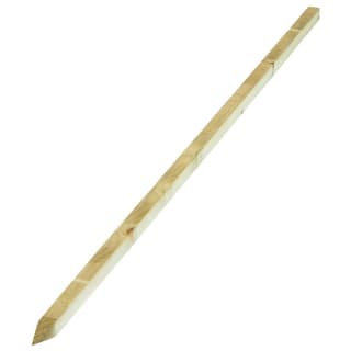 265779-dahlia-stakes-180x25mm-3
