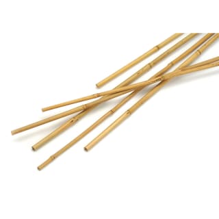 Bamboo Canes 5ft 10pk