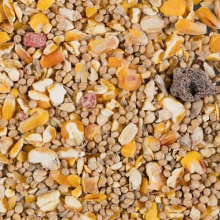 271256-Glenwood-Seed--Insect-Mix-650g1