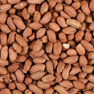 330683-Glennwood-Wild-Bird-Peanuts1