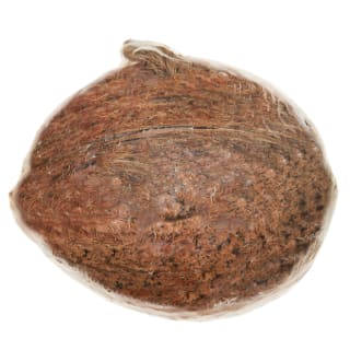 275208-Half-Coconut-Feeder1