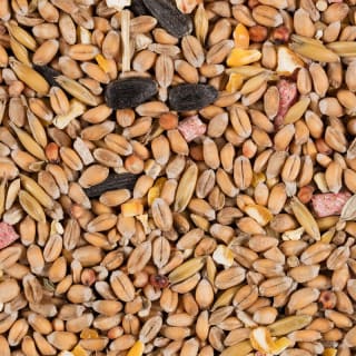 275212-277654-Glennwood-Wild-Bird-Seed-Mix1