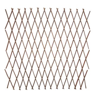 Expanding Willow Trellis