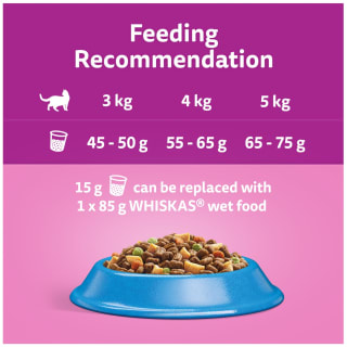 283524-whiskas-1-plus-cat-complete-dry-with-tuna-800g